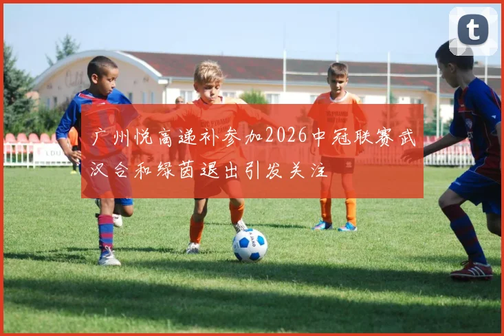 广州悦高递补参加2026中冠联赛武汉合和绿茵退出引发关注