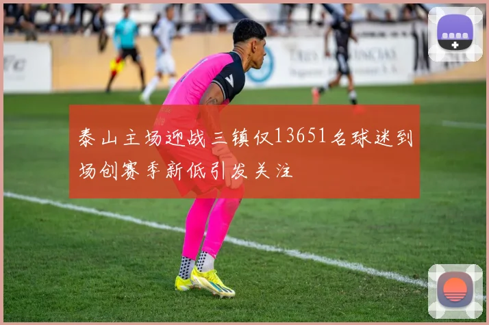 泰山主场迎战三镇仅13651名球迷到场创赛季新低引发关注